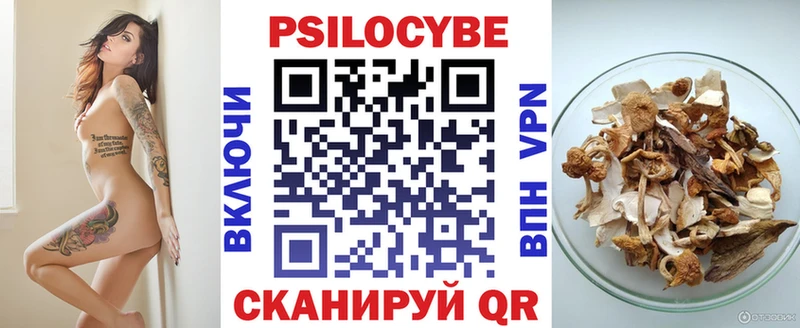 Псилоцибиновые грибы Cubensis  Дрезна 